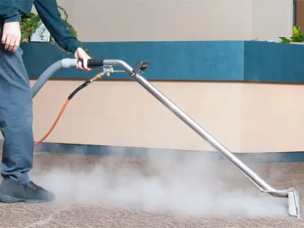 Traitement vapeur haute température à Mérignac