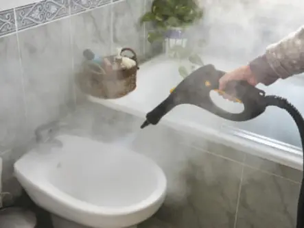 Désinfection écologique et efficace par vapeur