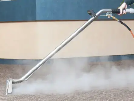 Professionnel nettoyant un tapis à Mérignac