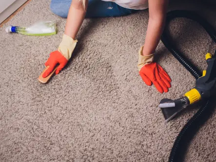 Tapis propre après nettoyage professionnel à Mérignac