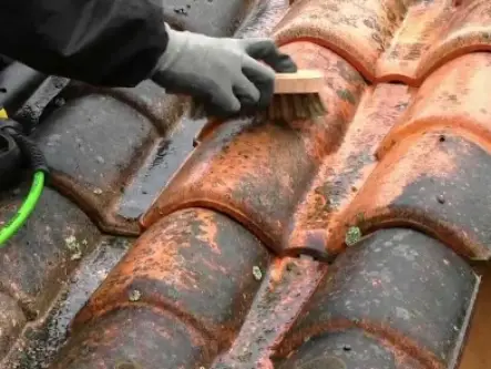 Traitement anti-mousse toiture Mérignac