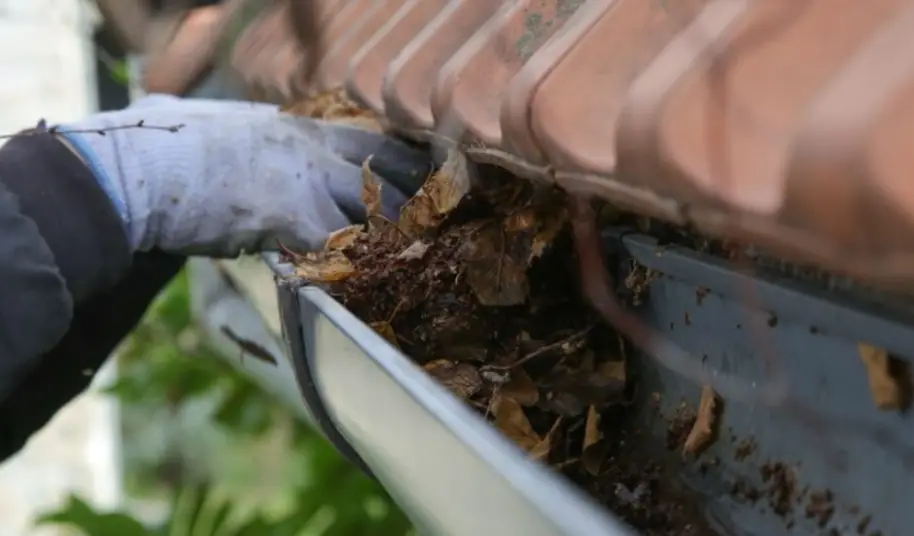 Nettoyage de gouttières professionnel à Mérignac